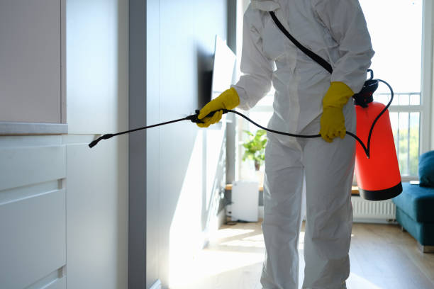 Certified Mold Removal in Sandusky, MI